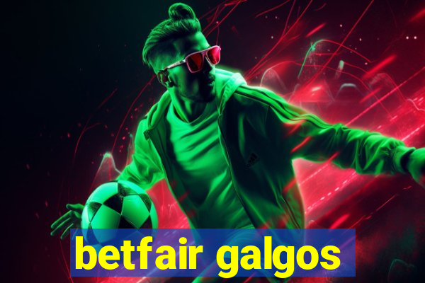 betfair galgos